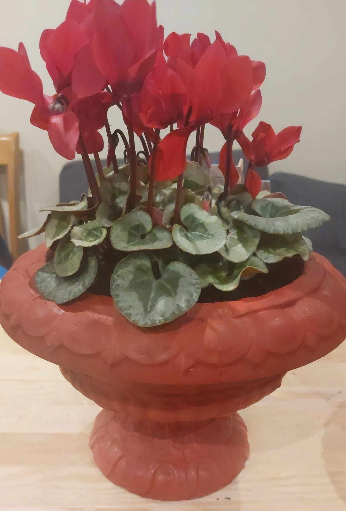 New Design Flower Pot Handmade Concrete Flowerpot, Bring Life to Your Space with Our Beautiful Flowerpots