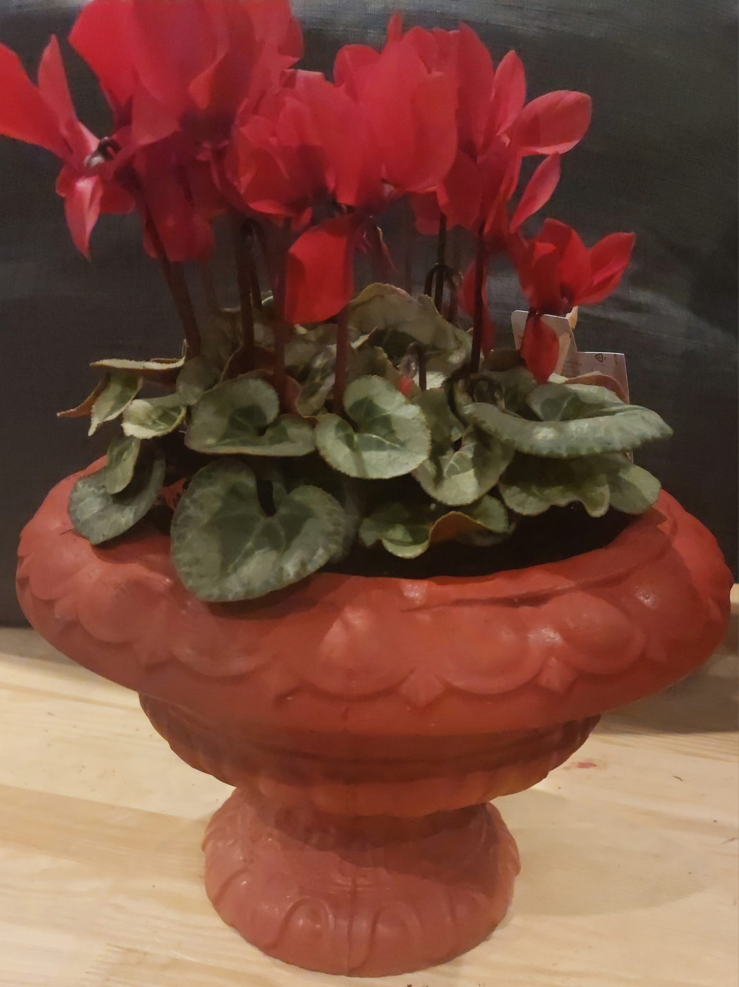 Concrete Flower Pot flower, Porch Door Pot