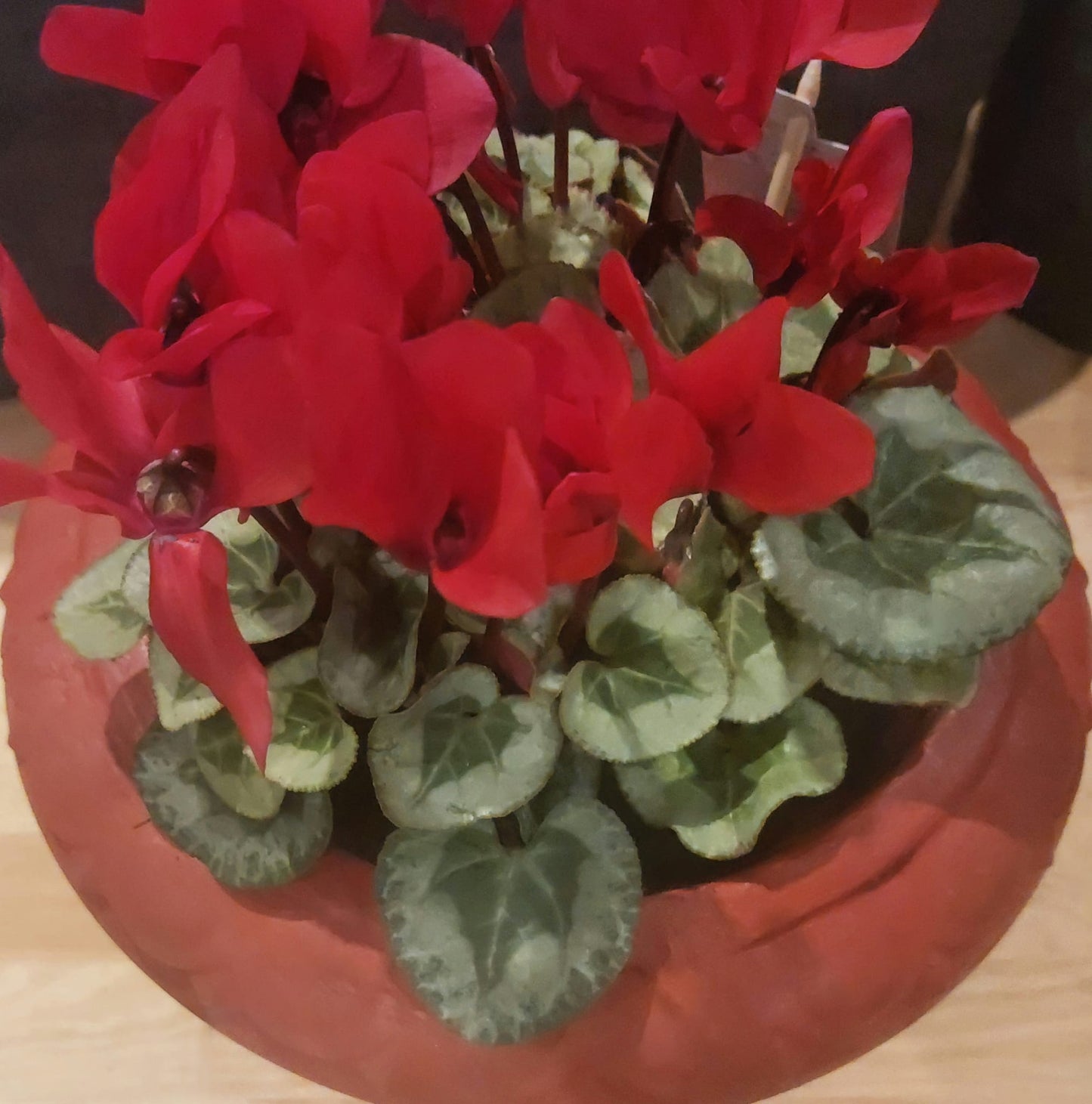 Concrete Flower Pot flower, Porch Door Pot