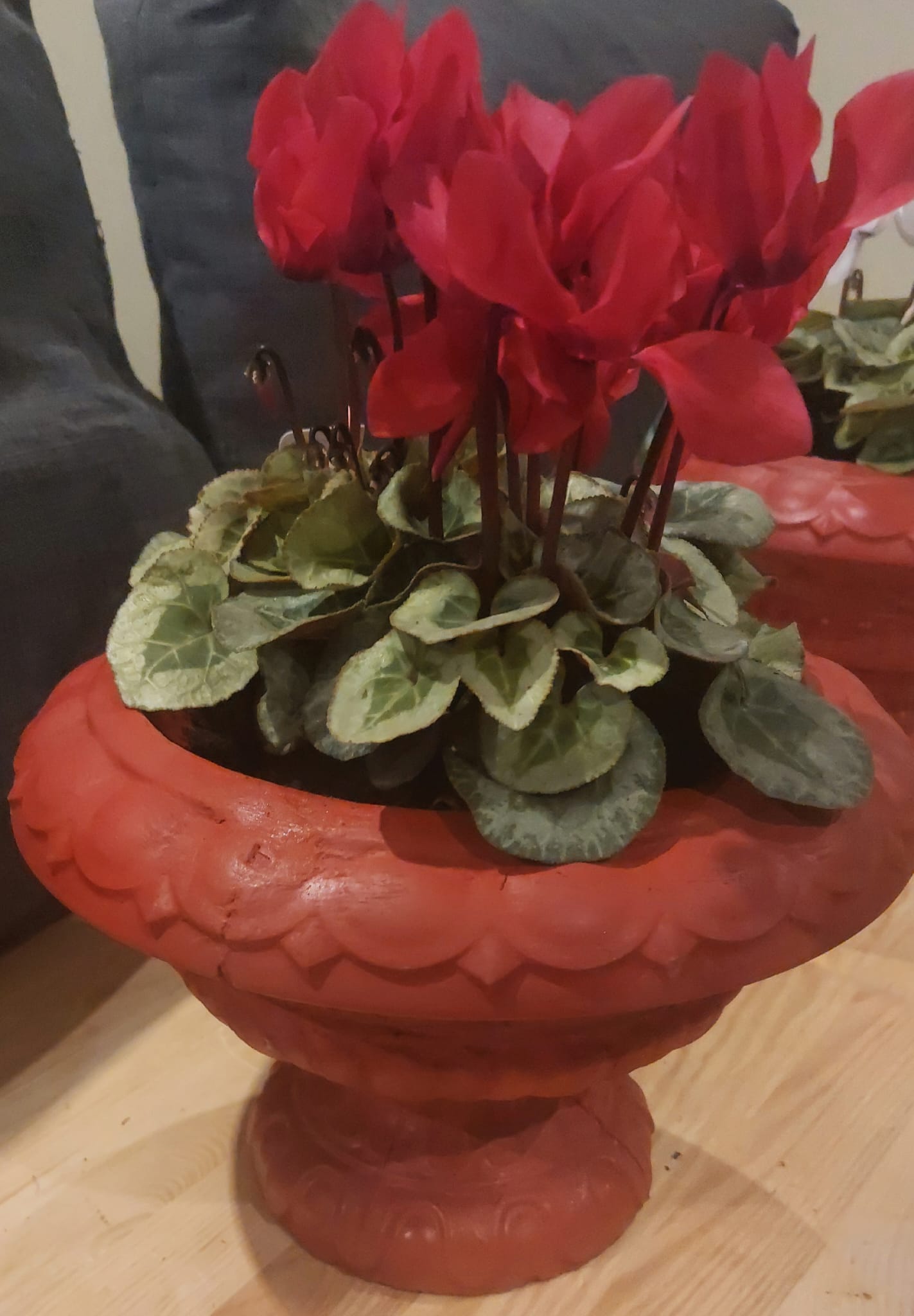 Concrete Flower Pot flower, Porch Door Pot