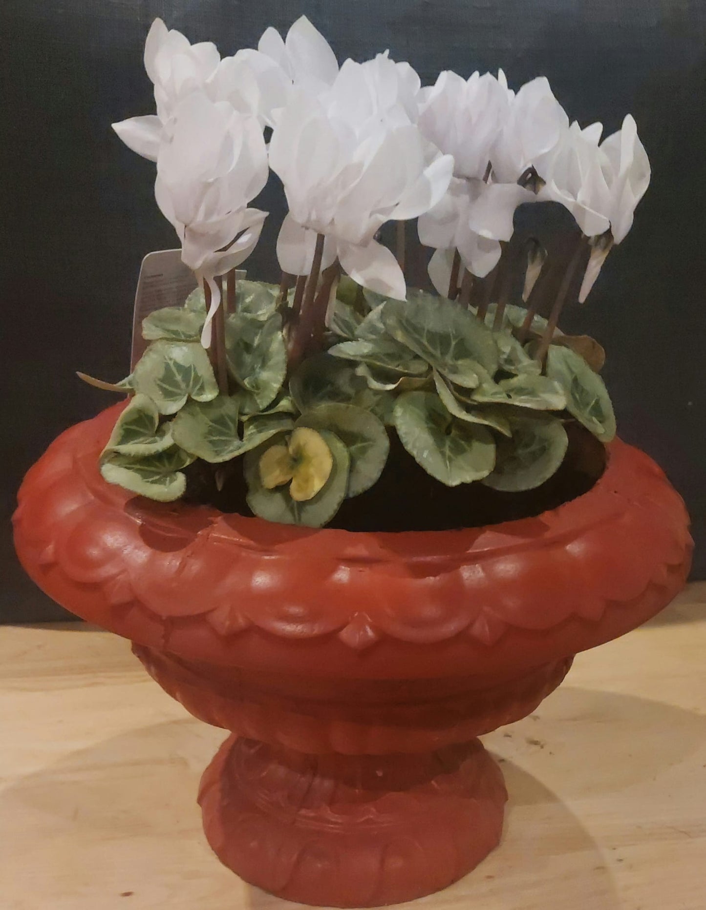 Concrete Flower Pot flower, Porch Door Pot