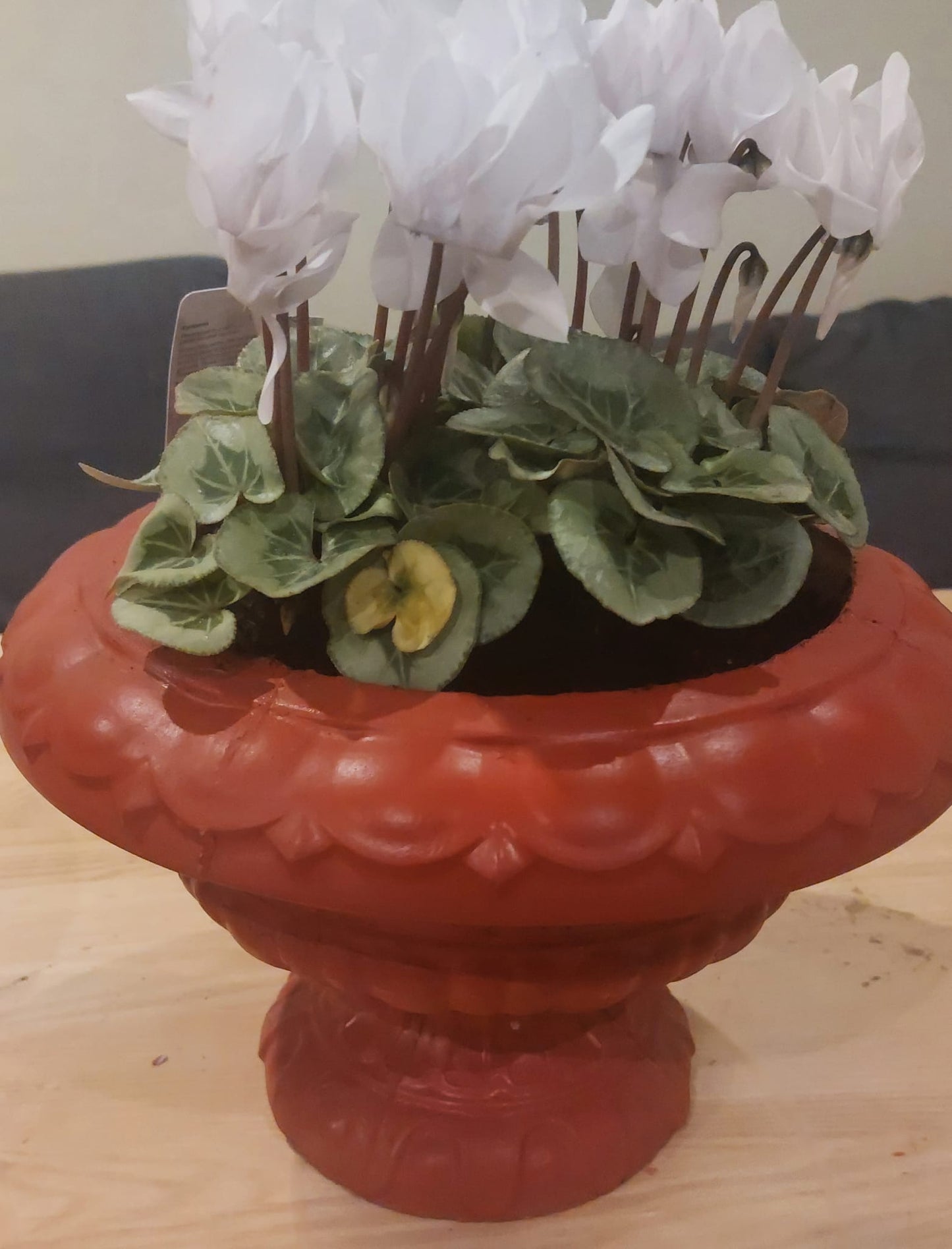 Concrete Flower Pot flower, Porch Door Pot